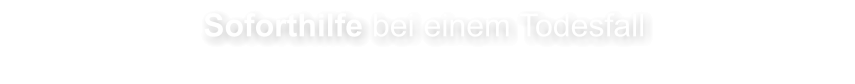 Soforthilfe bei einem TodesfallBestattungsinstitut im Aargau, Bestatter Aargau, Bestattungsinstitut Seetal, Bestatter, Bestatterin